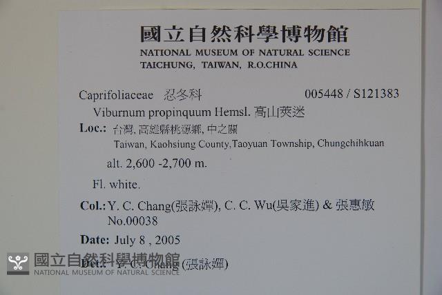 高山莢迷藏品圖，第2張