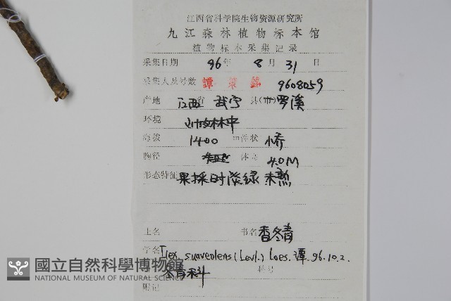 香冬青藏品圖，第2張