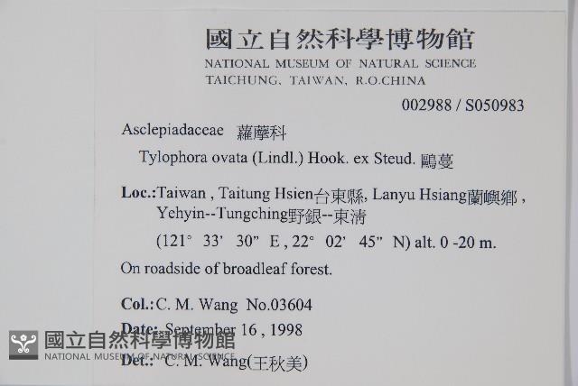 鷗蔓藏品圖，第2張