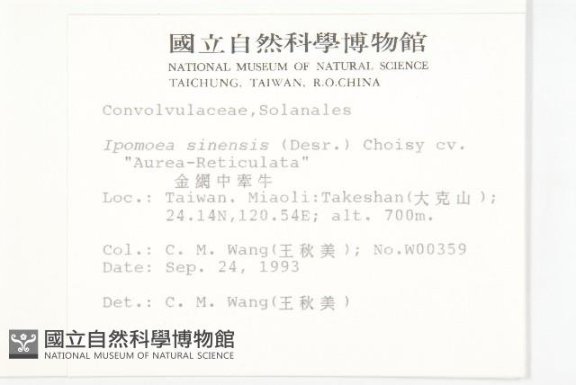 金網中牽牛藏品圖，第2張