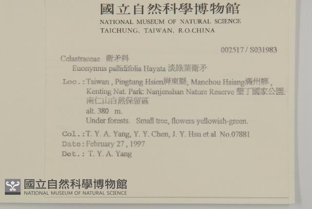 菱葉衛矛藏品圖，第2張