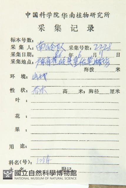 薯豆藏品圖，第2張