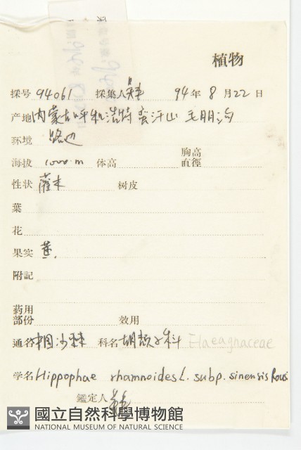 醋柳藏品圖，第2張