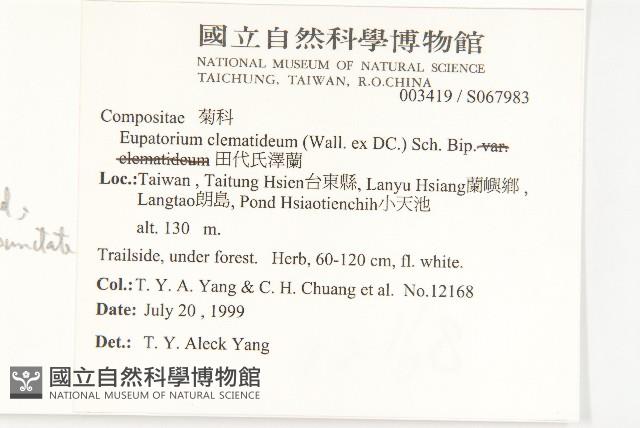 田代氏澤蘭藏品圖，第2張