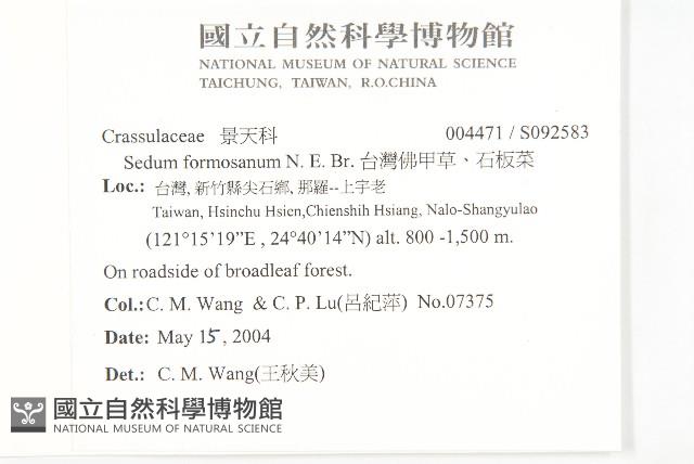 台灣佛甲草、石板菜藏品圖，第2張