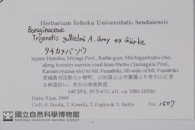 登錄號:S074583藏品圖，第2張