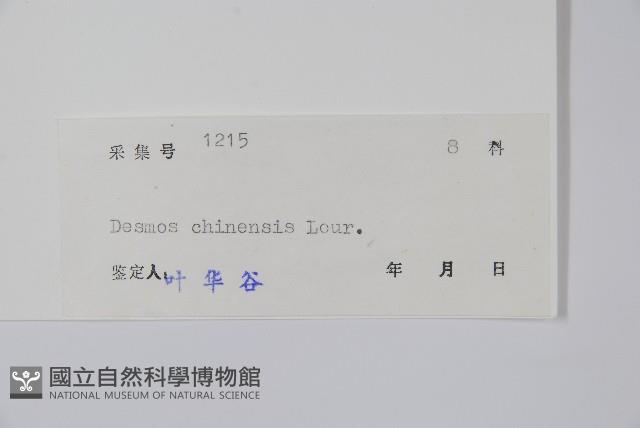 假鷹爪藏品圖，第2張