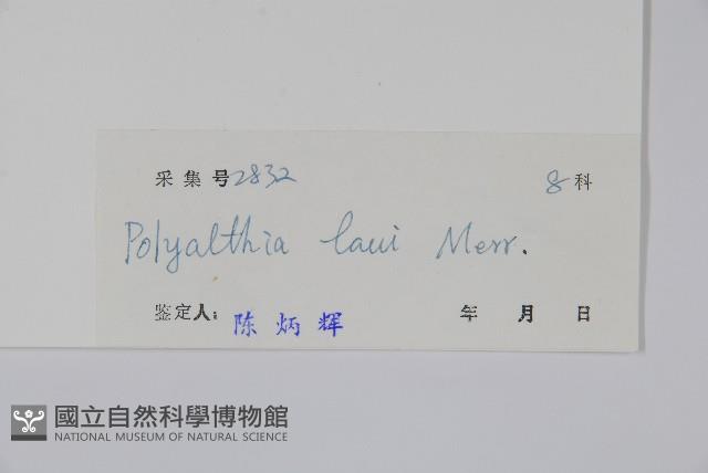 海南暗羅藏品圖，第2張