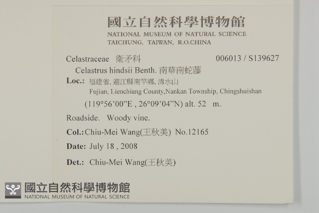 南華南蛇藤，青江藤藏品圖，第2張