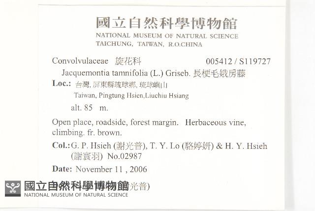 娥房藤藏品圖，第2張