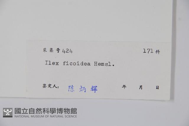 臺灣糊樗藏品圖，第2張