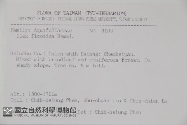 臺灣糊樗藏品圖，第2張