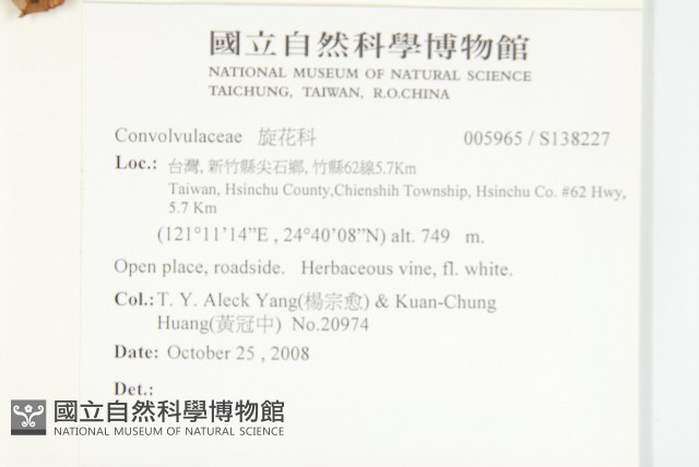 登錄號:S138227藏品圖，第2張