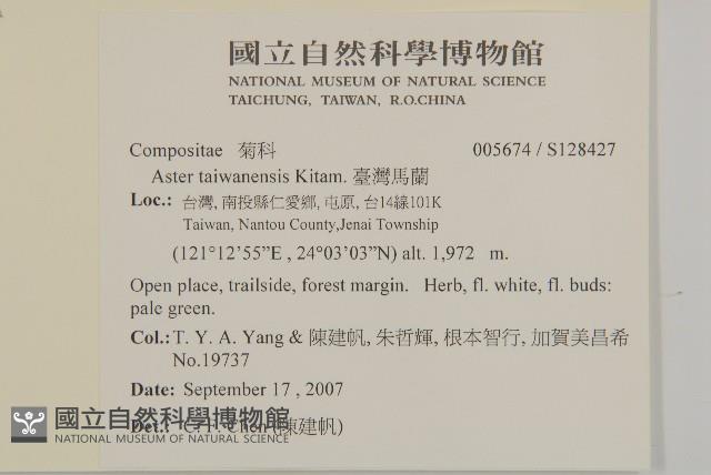 臺灣馬蘭藏品圖，第2張