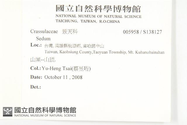 登錄號:S138127藏品圖，第2張