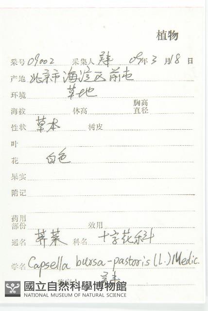 薺藏品圖，第2張