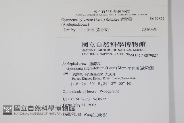 武靴藤藏品圖，第2張