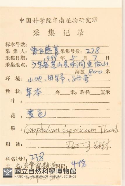 父子草、天青地白藏品圖，第2張