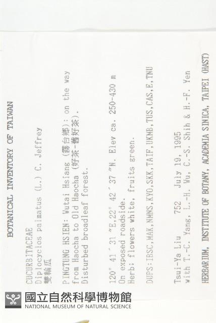 雙輪瓜藏品圖，第2張