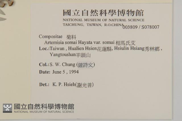 Accession Number:S078007 Collection Image, Figure 2, Total 2 Figures