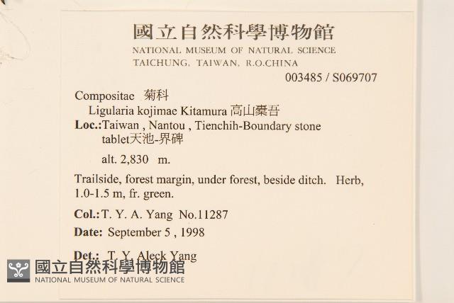 高山橐吾藏品圖，第2張