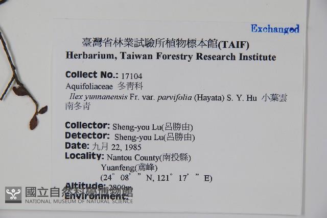 雲南冬青藏品圖，第2張