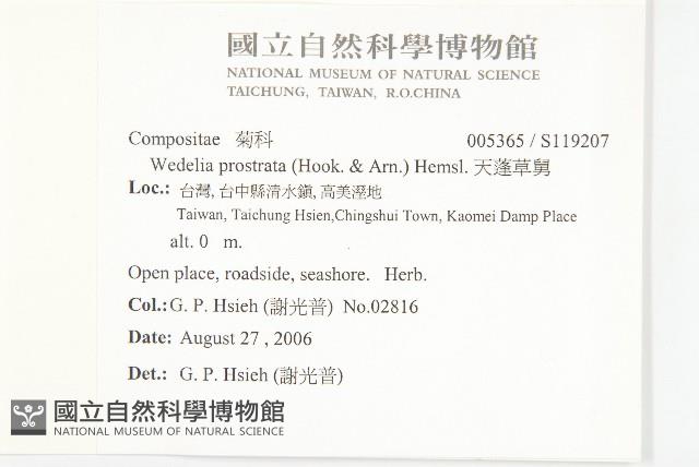 天蓬草舅藏品圖，第2張