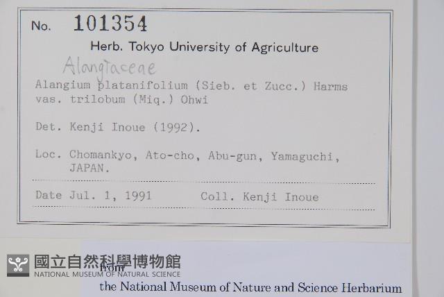 八角楓藏品圖，第2張