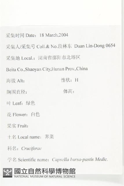 薺藏品圖，第2張