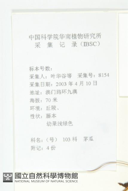 茅瓜藏品圖，第2張