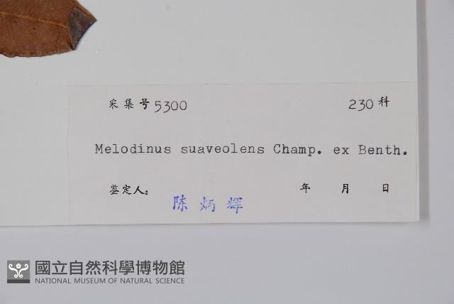 山橙藏品圖，第2張