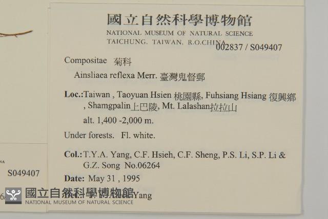 Accession Number:S049407 Collection Image, Figure 2, Total 3 Figures