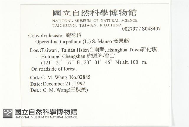 盒果藤藏品圖，第2張