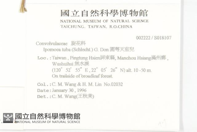 天茄兒藏品圖，第2張