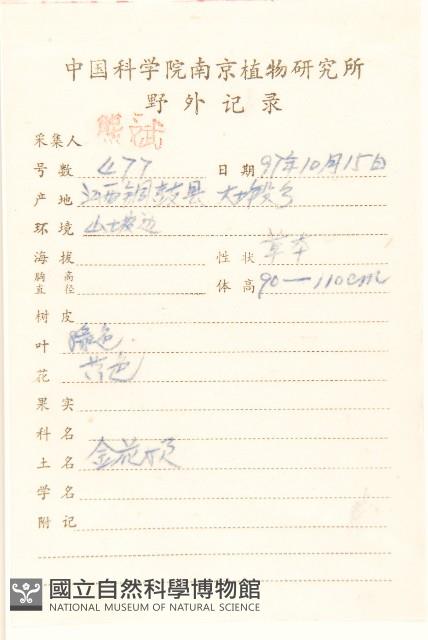 一枝黃花藏品圖，第2張