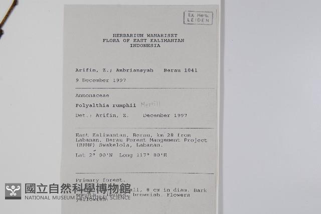 香花暗羅藏品圖，第2張