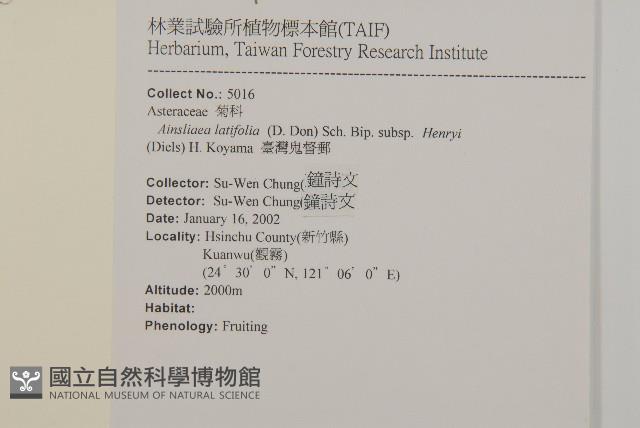 臺灣鬼督郵藏品圖，第2張