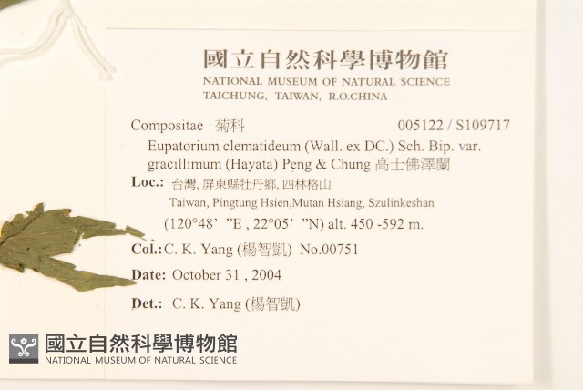高士佛澤蘭藏品圖，第2張