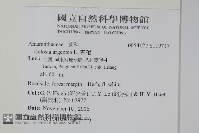 青葙藏品圖，第2張