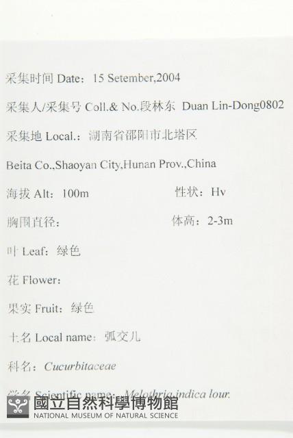 老鼠冬瓜藏品圖，第2張