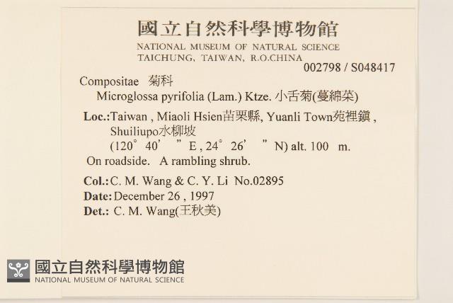 小舌菊、蔓綿菜藏品圖，第2張