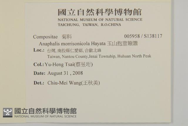 玉山抱莖籟簫藏品圖，第2張