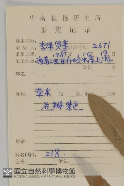 燈豎朽藏品圖，第2張