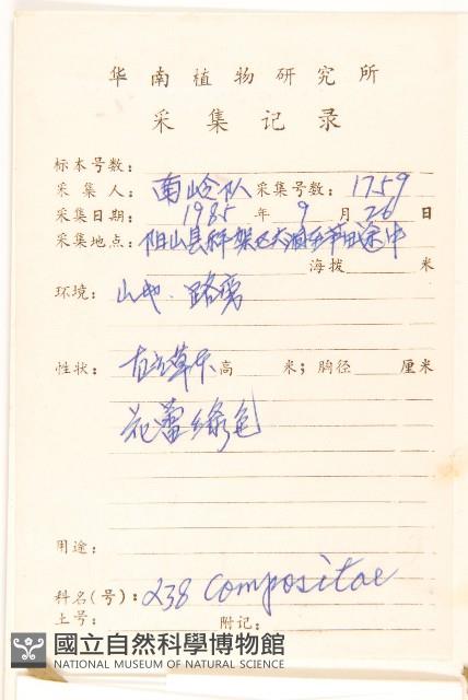 六角草藏品圖，第2張