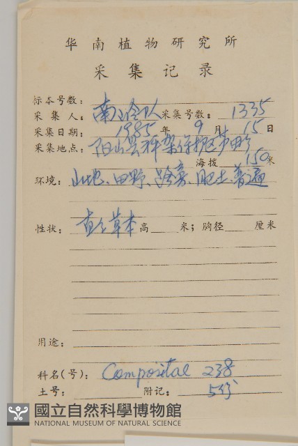 白花鬼針藏品圖，第2張