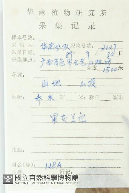 薯豆藏品圖，第2張