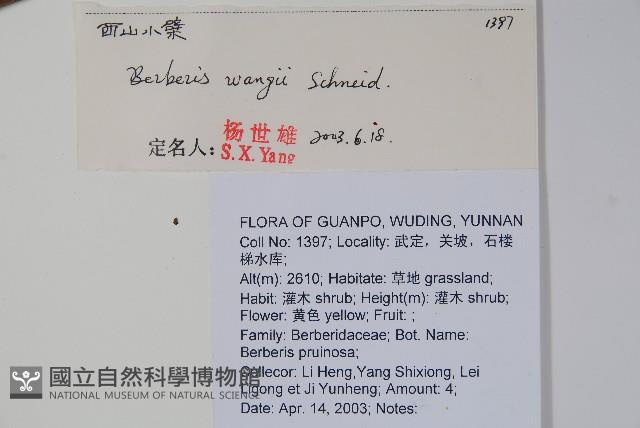 西山小檗藏品圖，第2張