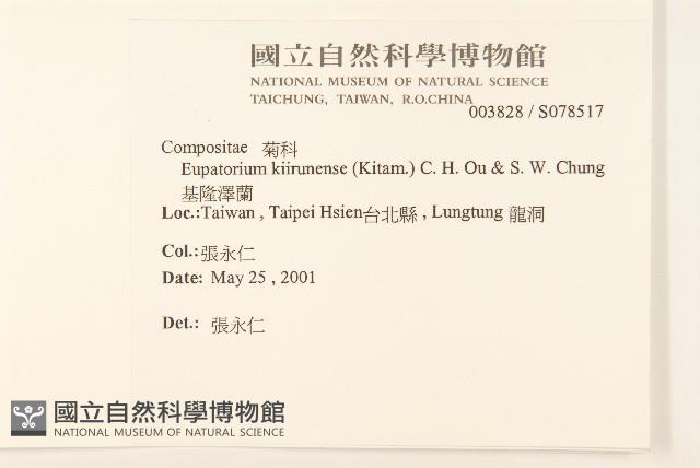 基隆澤蘭藏品圖，第2張