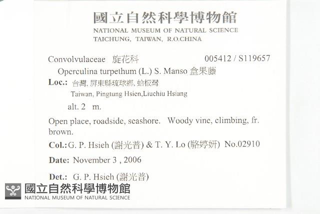 盒果藤藏品圖，第2張