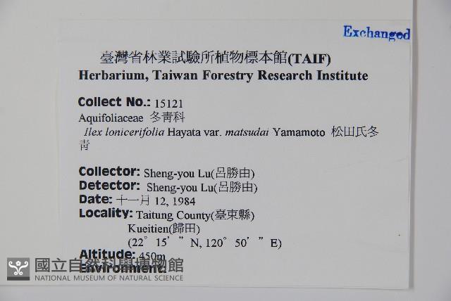 松田氏冬青藏品圖，第2張